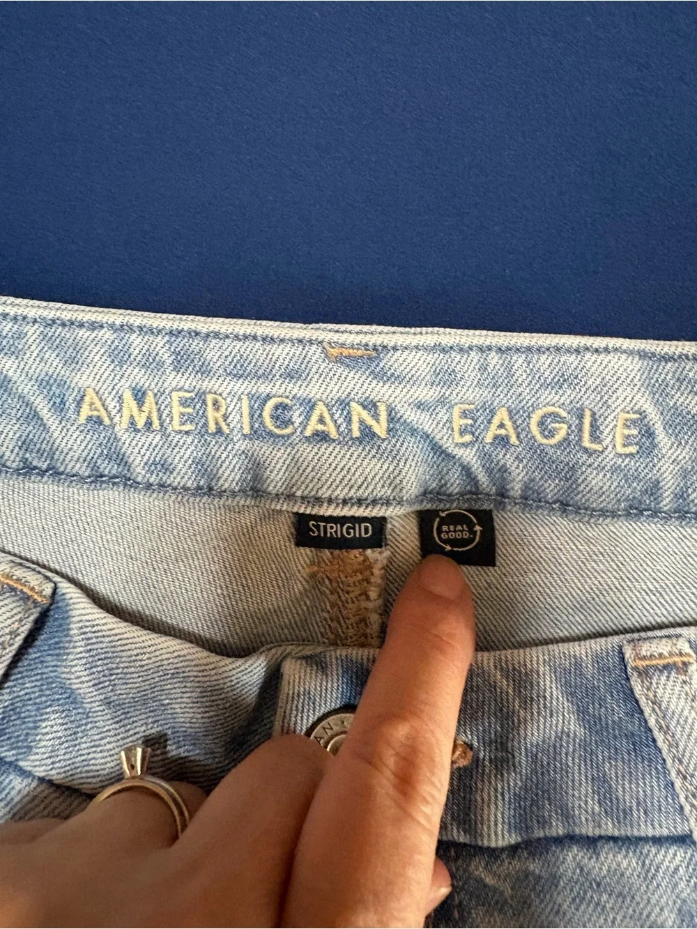 American Eagle Jeans Womens 10 Long Blue Denim Curvy Mom Jean Strigid High Rise